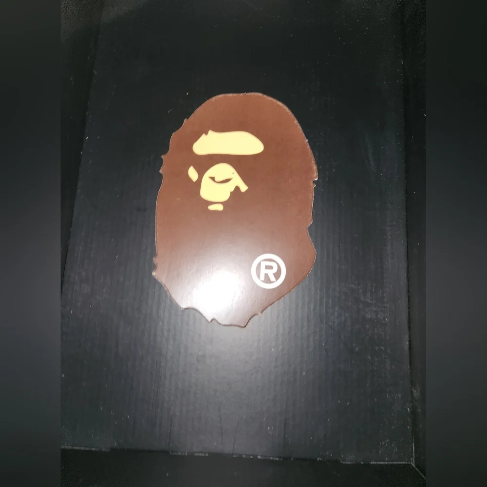 A Bathing Ape Camo Empty Box